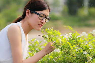 妖精动漫下载渠道展示